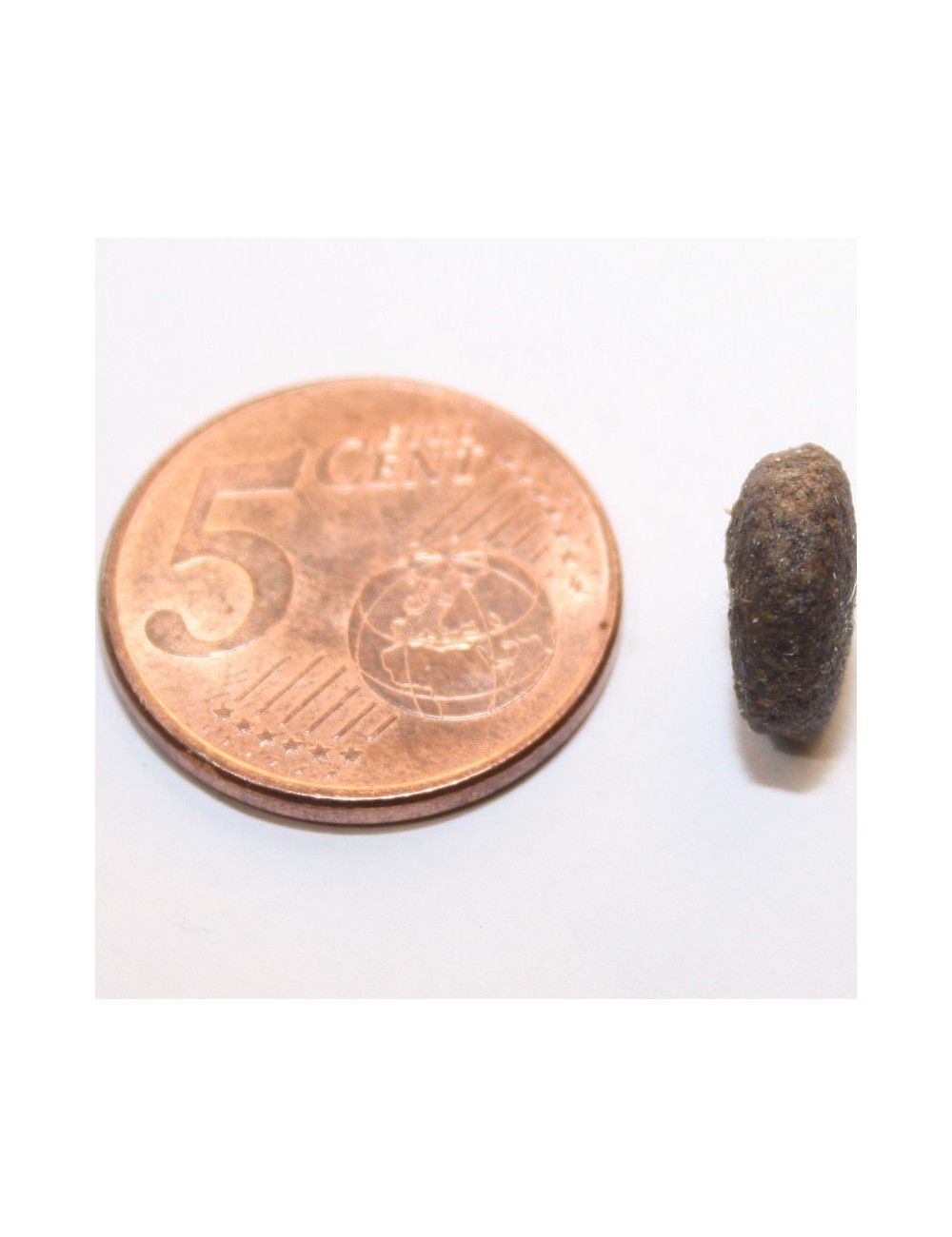 Cinghiale Grain Free