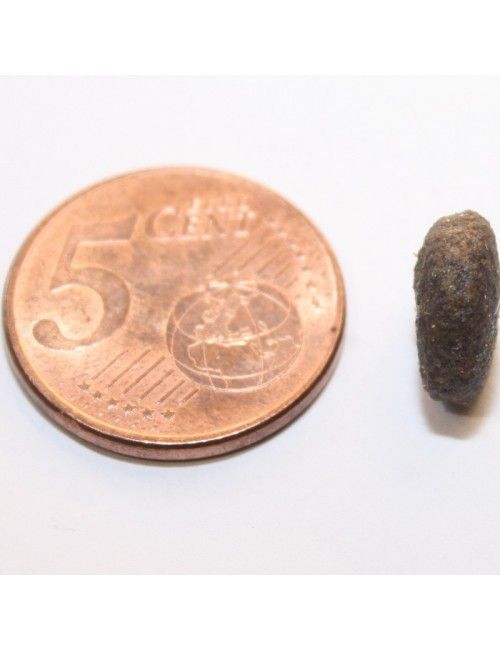 Cinghiale Grain Free