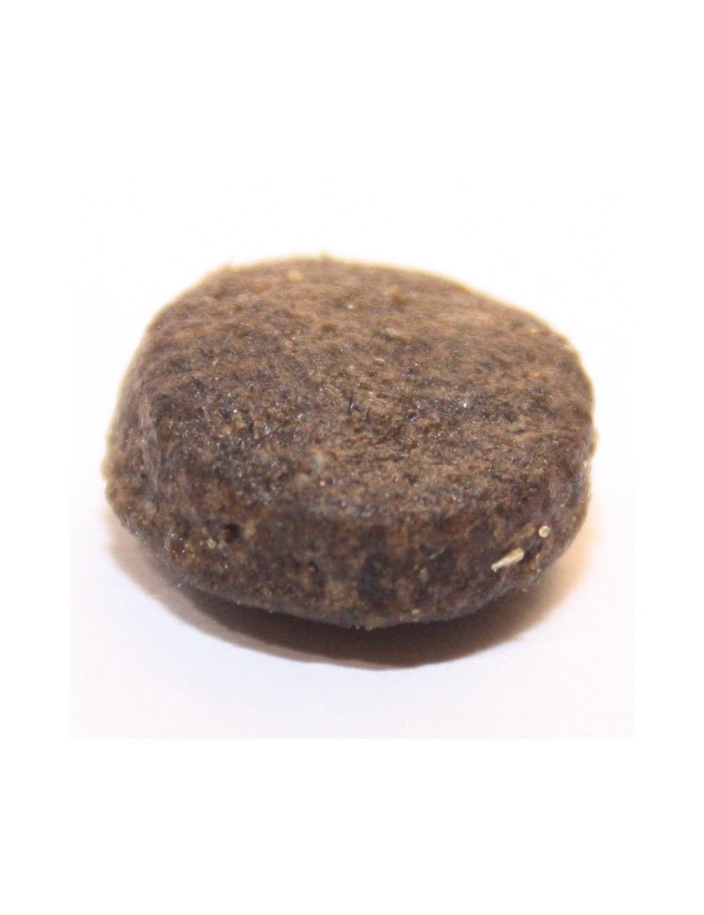 Cinghiale Grain Free