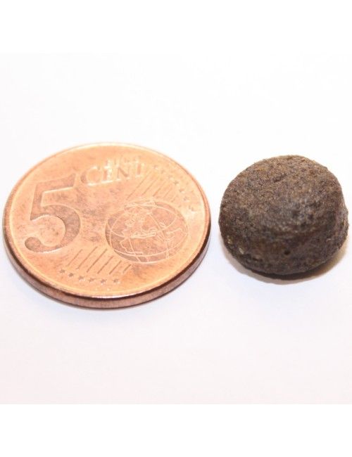 Aringhe Grain Free (NUOVA FORMULA)