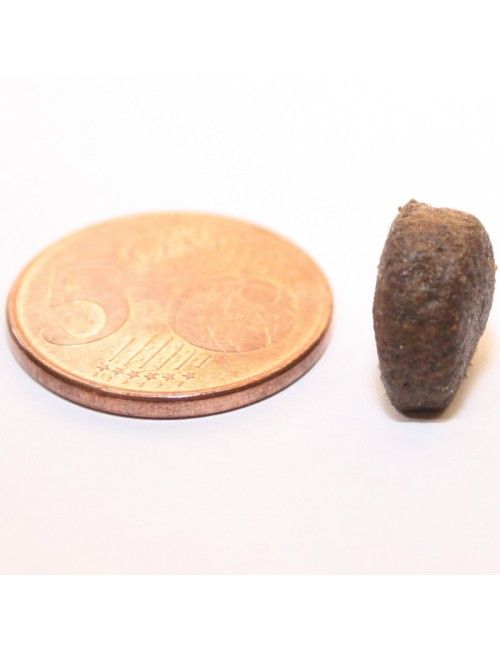 Aringhe Grain Free (NUOVA FORMULA)