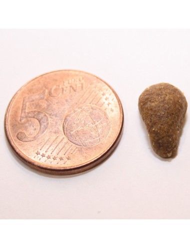 Croccantini Monoproteici per Gatti al Cervo 2 Kg