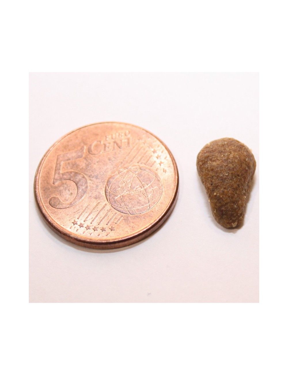 Croccantini Monoproteici per Gatti al Cervo 2 Kg