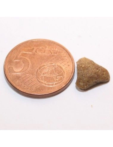 Croccantini Gatti Sterilizzati al Pesce Pescato 2 Kg