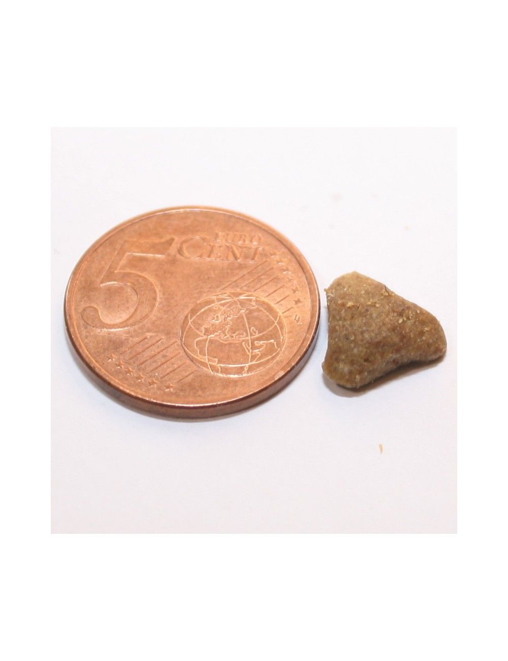 Croccantini Gatti Sterilizzati al Pesce Pescato 2 Kg