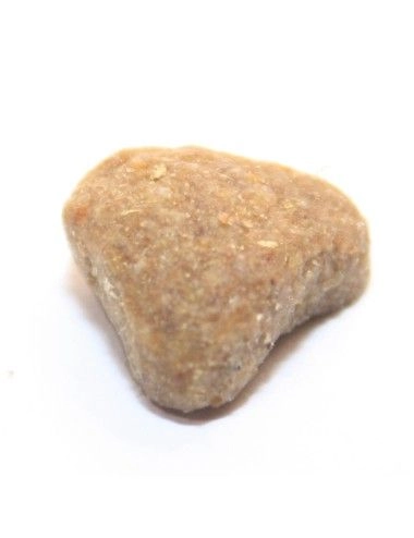 Gatto Adulto Pesce Pescato 2 Kg