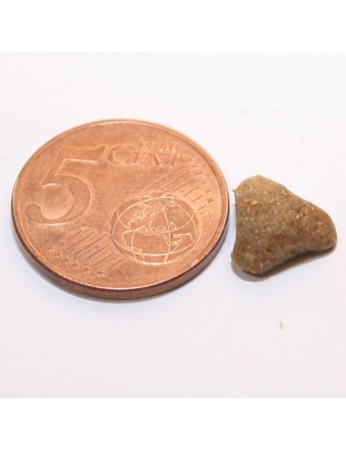 Gatto Adulto Pesce Pescato 2 Kg