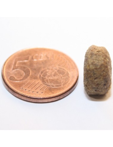 Crocchette per Cane IntestiFitness (10Kg)