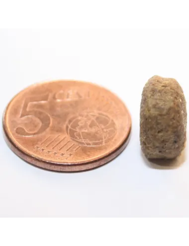 Crocchette per Cane IntestiFitness (10Kg)