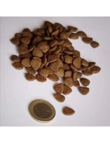 Cat Chicken (4Kg) le migliori crocchette per gatti