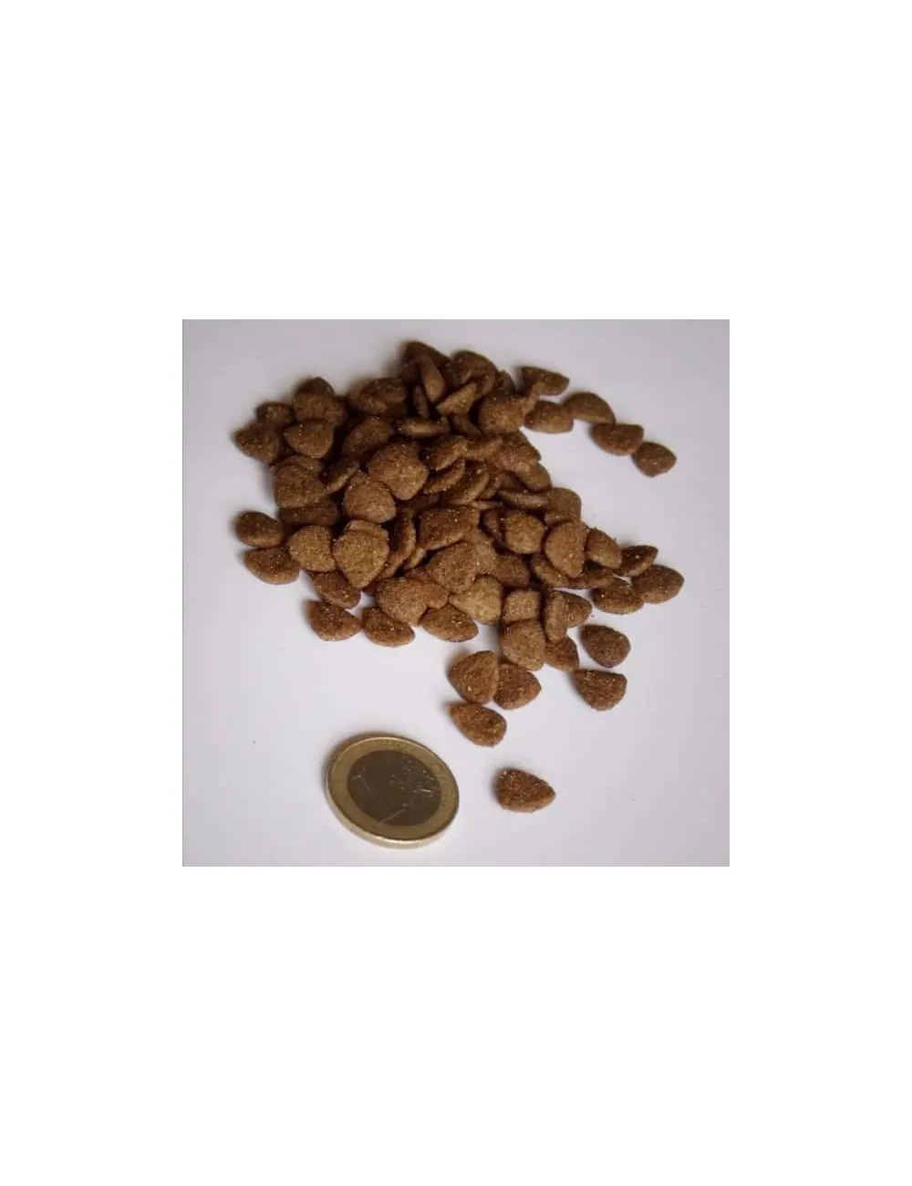 Cat Chicken (4Kg) le migliori crocchette per gatti