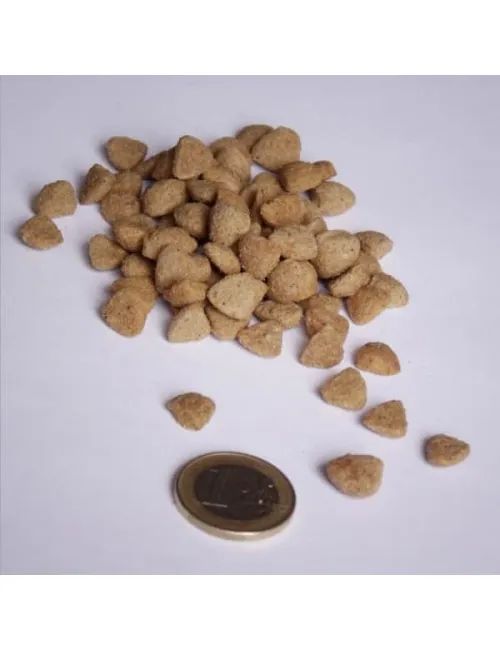 Cat Micho Crocchette  Gatto 20 KG