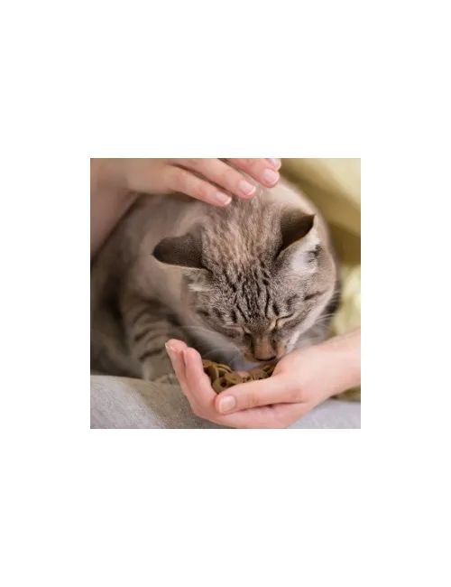 Cat Light Sterilizzato (4Kg) Crocchette per gatti sterilizzati