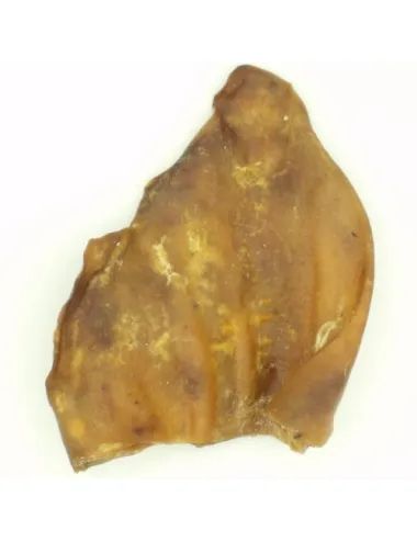 Orecchie di Maiale per Cani