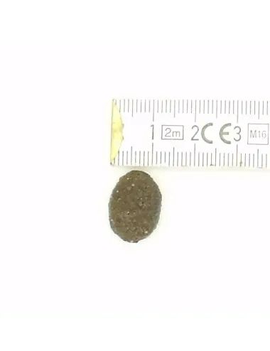 Pesce e Bufalo crocchette per cani senza cereali con Tarassaco Melograno e Ananas