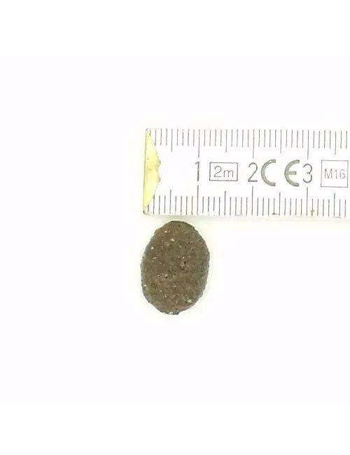 Pesce e Bufalo crocchette per cani senza cereali con Tarassaco Melograno e Ananas