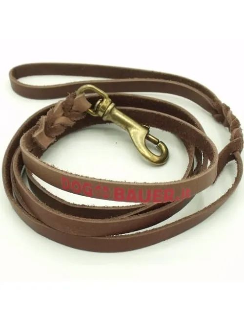 Guinzaglio in Pelle per Cani Piccoli con Maniglia