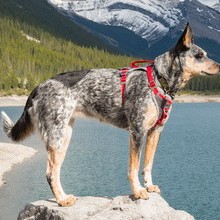 <br />
<b>Warning</b>:  Undefined array key 