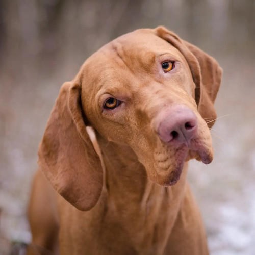 <br />
<b>Warning</b>:  Undefined array key 