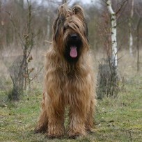 <br />
<b>Warning</b>:  Undefined array key 