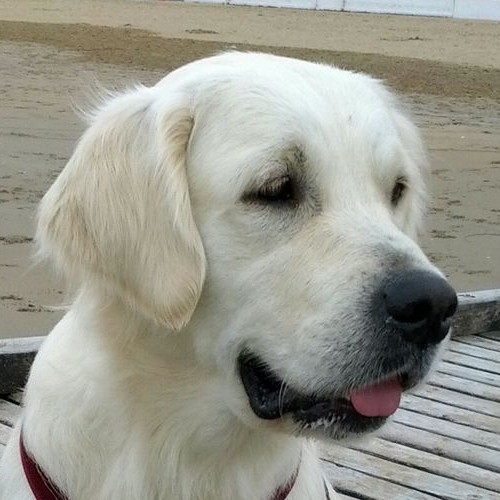 <br />
<b>Warning</b>:  Undefined array key 