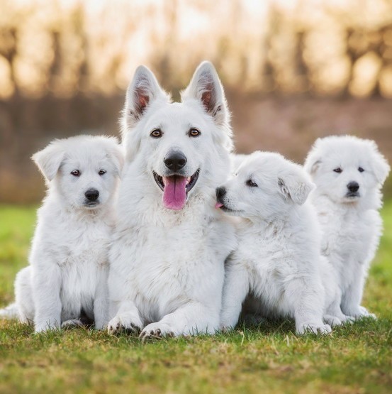 <br />
<b>Warning</b>:  Undefined array key 