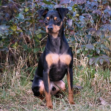 <br />
<b>Warning</b>:  Undefined array key 