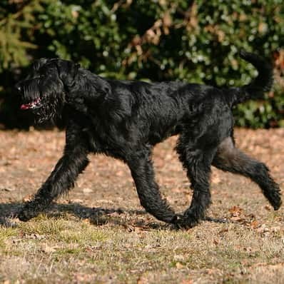 <br />
<b>Warning</b>:  Undefined array key 