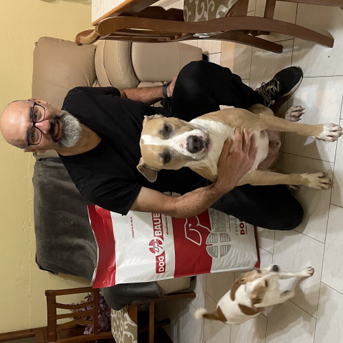 Signore tatuato con il suo Bulldog Inglese e il sacco delle sue crocchette Dermat Dogbauer