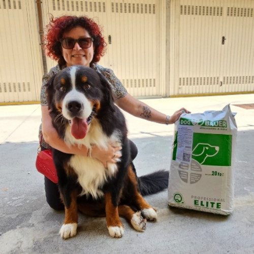 Signore tatuato con il suo Bulldog Inglese e il sacco delle sue crocchette Dermat Dogbauer