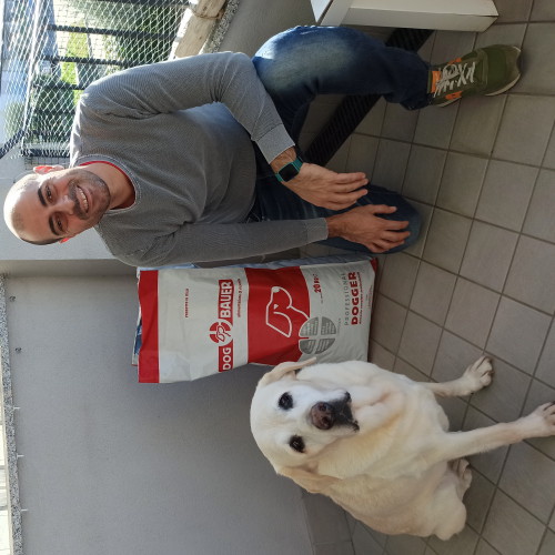 Signore tatuato con il suo Bulldog Inglese e il sacco delle sue crocchette Dermat Dogbauer