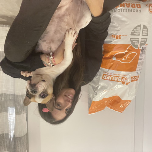 Signore tatuato con il suo Bulldog Inglese e il sacco delle sue crocchette Dermat Dogbauer