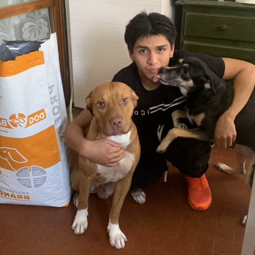 Signore tatuato con il suo Bulldog Inglese e il sacco delle sue crocchette Dermat Dogbauer