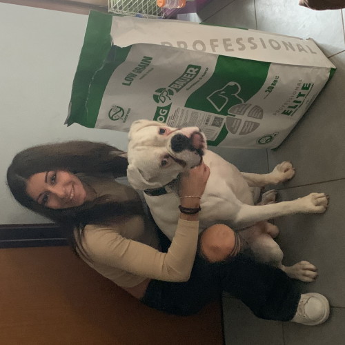 Signore tatuato con il suo Bulldog Inglese e il sacco delle sue crocchette Dermat Dogbauer