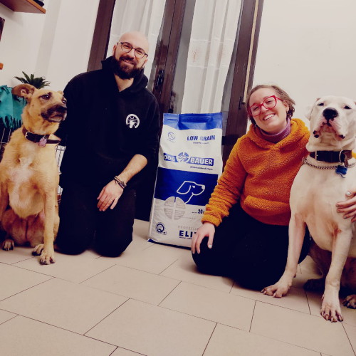 Signore tatuato con il suo Bulldog Inglese e il sacco delle sue crocchette Dermat Dogbauer