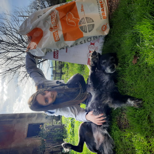 Ragazza che fa le coccole al suo cane e il sacco di crocchette Dogbauer