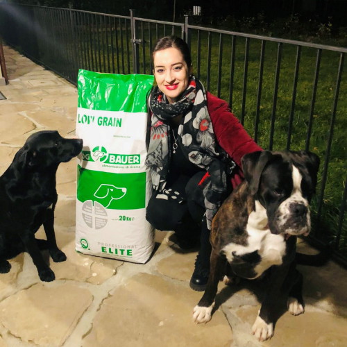 Ragazza con due cani ub Boxer e un meticcio e il sacco delle crocchette Low Grain Dogbauer