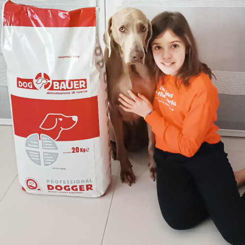 Ragazza che offre una crocchetta Dogbauer al suo cane Bovaro del Bernese e a fianco il sacco di crocchette Dogbauer Grain Free