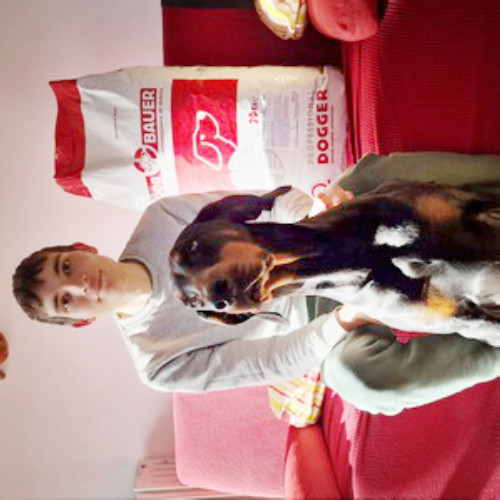 Ragazzo seduto sul divano rosso con a fianco il sacco delle crocchette Dogbauer e davanti la sua splendida Dobermann