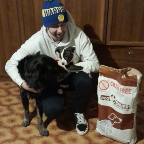 Ragazzo con berretto con in braccio una cucciola di cane Amstaff e a fianco un altro cane e le crocchette Dogbauer Grain Free