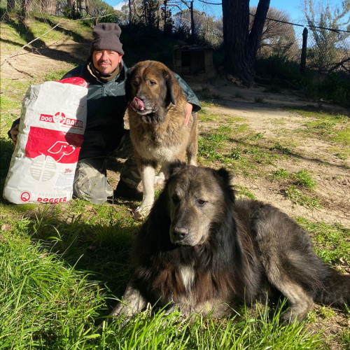 Signora che coccola il suo cane Terranova ed a fianco il sacco di crocchette Dogbauer