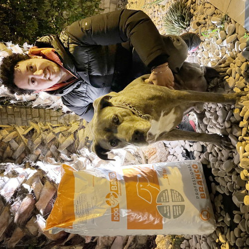 Ragazzo sotto una palma con Cane Corso blu e le crocchette Dogbauer, provale anche tu!