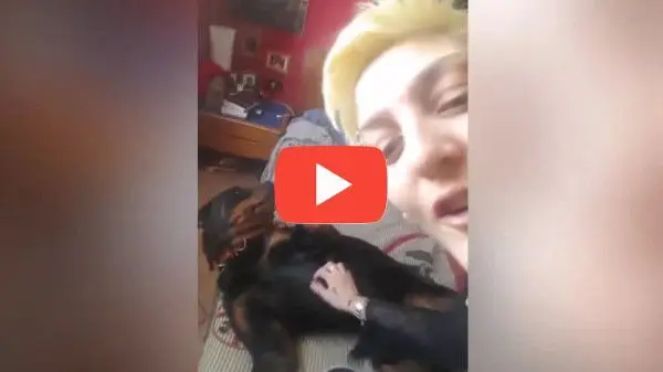 Ragazza con Bracco di Weimar Felici con le crocchette Dogbauer Low Grain