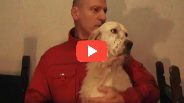 Ragazza con Bracco di Weimar Felici con le crocchette Dogbauer Low Grain