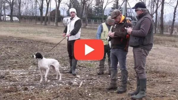 Ragazza con Bracco di Weimar Felici con le crocchette Dogbauer Low Grain